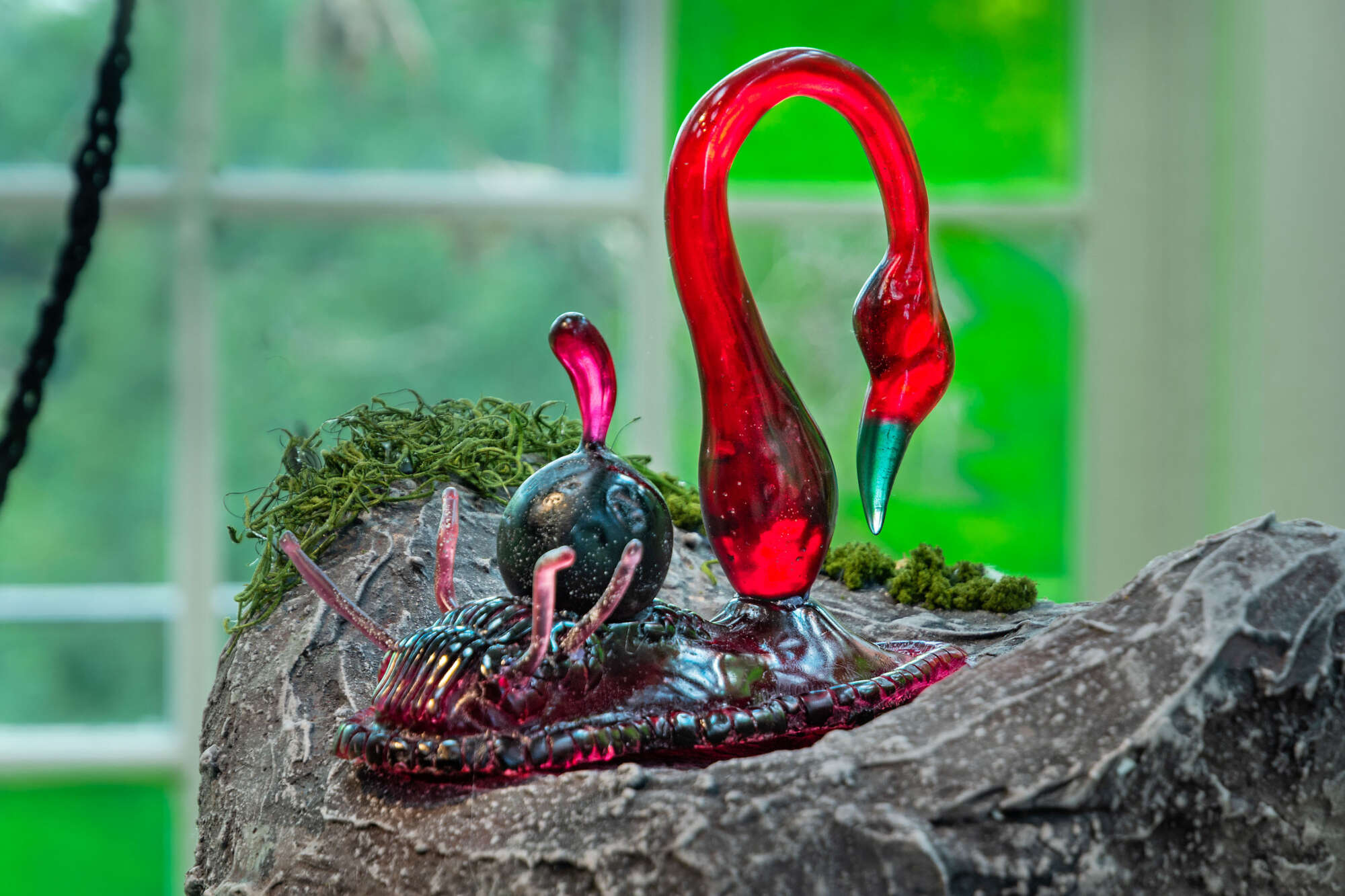 Etienne Gisto Cipriani: The Cryptozoological Vivarium — view 4