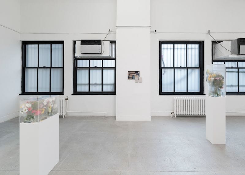 Jesse Darling, Nina Kintsurashvili, Fatine-Violette Sabiri — view 5