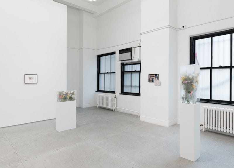 Jesse Darling, Nina Kintsurashvili, Fatine-Violette Sabiri — view 4